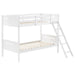 Littleton - Bunk Bed - Simple Home Plus