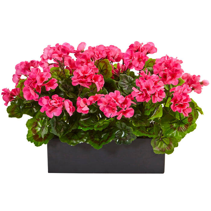 13" Geranium in Planter UV Resistant (Indoor/Outdoor) Beauty