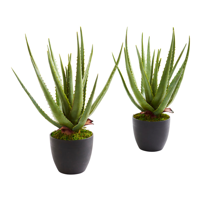 18" Aloe Artificial Plant (Set of 2)