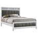 Barzini - Upholstered Panel Bed - Simple Home Plus