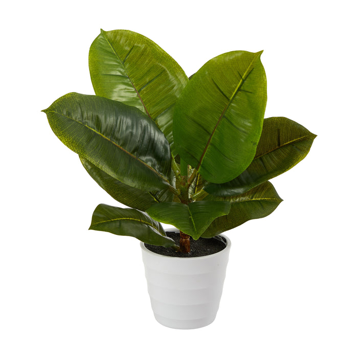 11" Rubber Leaf Plant in White Planter (Real Touch)