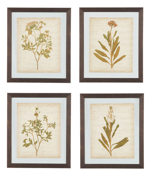 Dyani - Brown - Wall Art Set (Set of 4) - Simple Home Plus