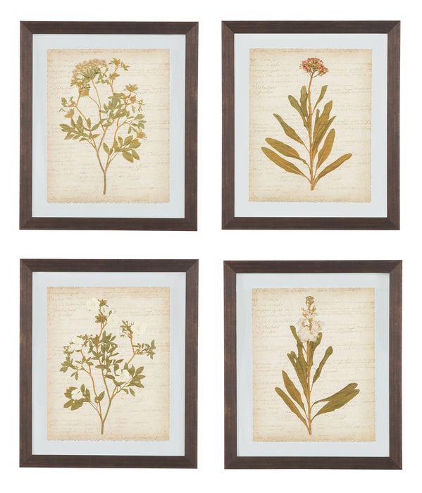 Dyani - Brown - Wall Art Set (Set of 4) - Simple Home Plus