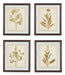 Dyani - Brown - Wall Art Set (Set of 4) - Simple Home Plus