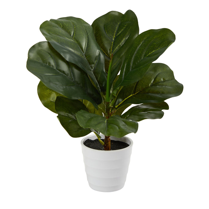 11" Fiddle Leaf Plant in White Planter (Real Touch)