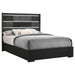 Blacktoft - Panel Bed - Simple Home Plus